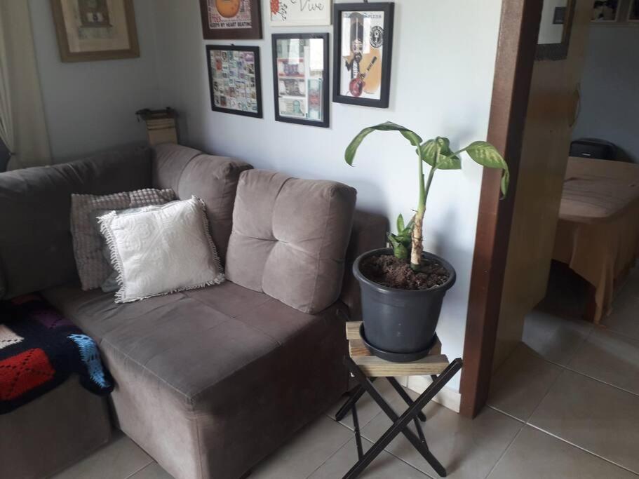 Casa Proximo A Praias, Trilhas E Cachoeiras. Garopaba Exterior foto